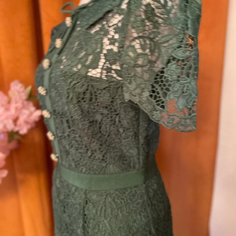 Self-Portrait green Lace Dress - Picture 5 of 12